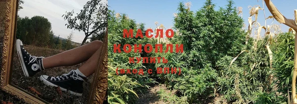 гашик Липки
