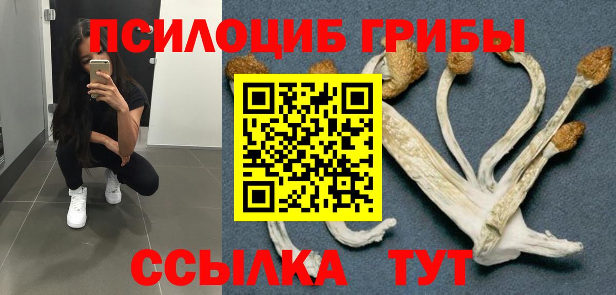 Псилоцибиновые грибы GOLDEN TEACHER Шадринск